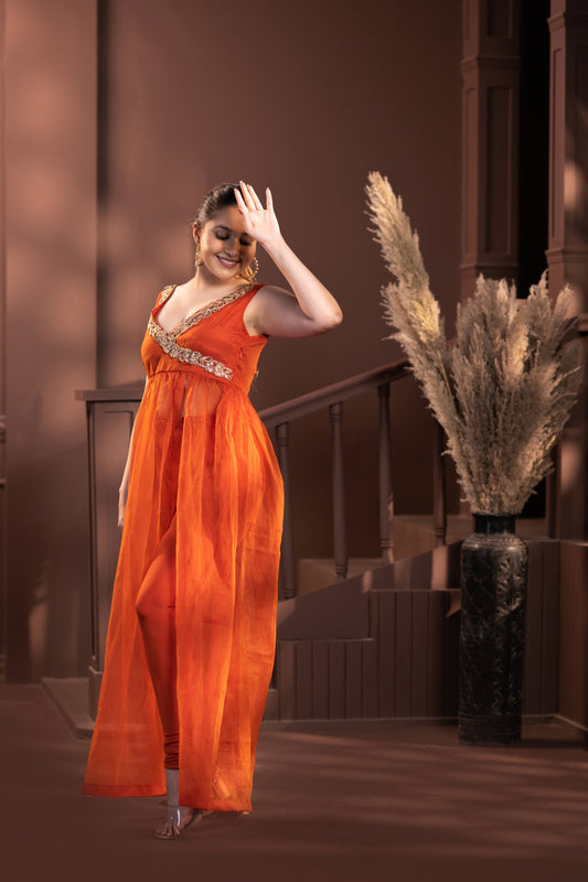 Sun Kissed Organza Ensemble